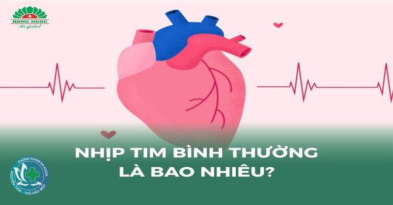Nhịp tim bình thường - Cách đo nhịp tim khi nghỉ Nhịp tim bình thường - Cách đo nhịp tim khi nghỉ