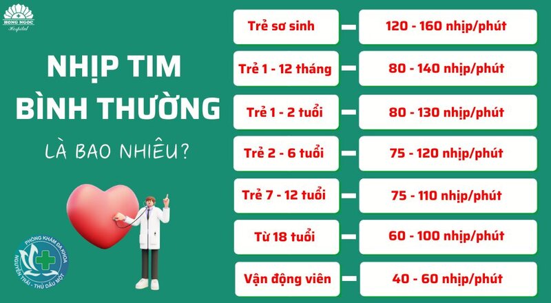 Nhịp tim bình thường - Nhịp tim ở trẻ em và người mang thai Nhịp tim bình thường - Nhịp tim ở trẻ em và người mang thai