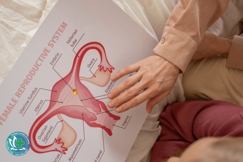 thai ngoài tử cung là gì - Các vị trí hiếm gặp hơn thai ngoài tử cung là gì - Các vị trí hiếm gặp hơn