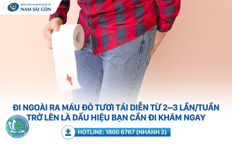 Trĩ ra máu tươi - Trĩ ra máu tươi có nguy hiểm không? Trĩ ra máu tươi - Trĩ ra máu tươi có nguy hiểm không?