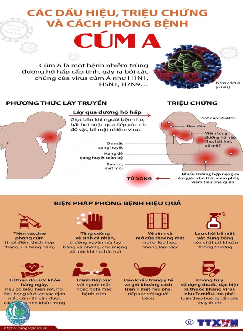 Triệu chứng cúm A - Phụ nữ mang thai và người có bệnh nền Triệu chứng cúm A - Phụ nữ mang thai và người có bệnh nền