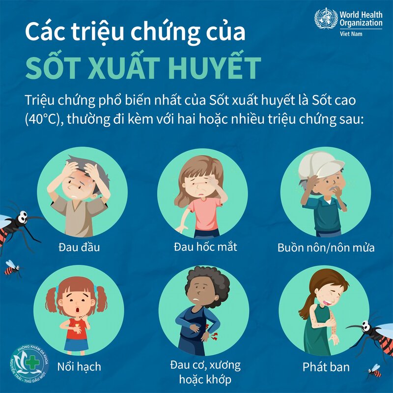 Triệu chứng sốt xuất huyết - Dấu hiệu cảnh báo sốt xuất huyết nặng Triệu chứng sốt xuất huyết - Dấu hiệu cảnh báo sốt xuất huyết nặng