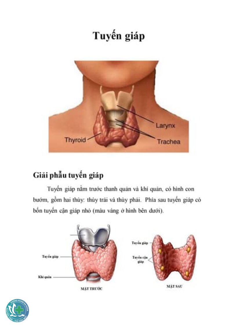 Tuyến giáp - Xét nghiệm máu Tuyến giáp - Xét nghiệm máu
