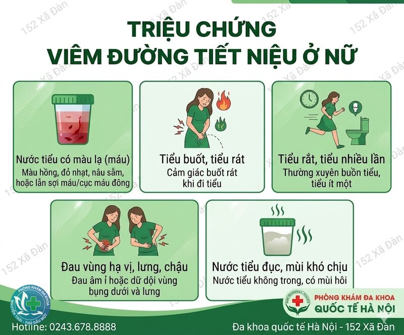 viêm đường tiết niệu có tự khỏi không - Dấu hiệu bệnh đang nặng lên